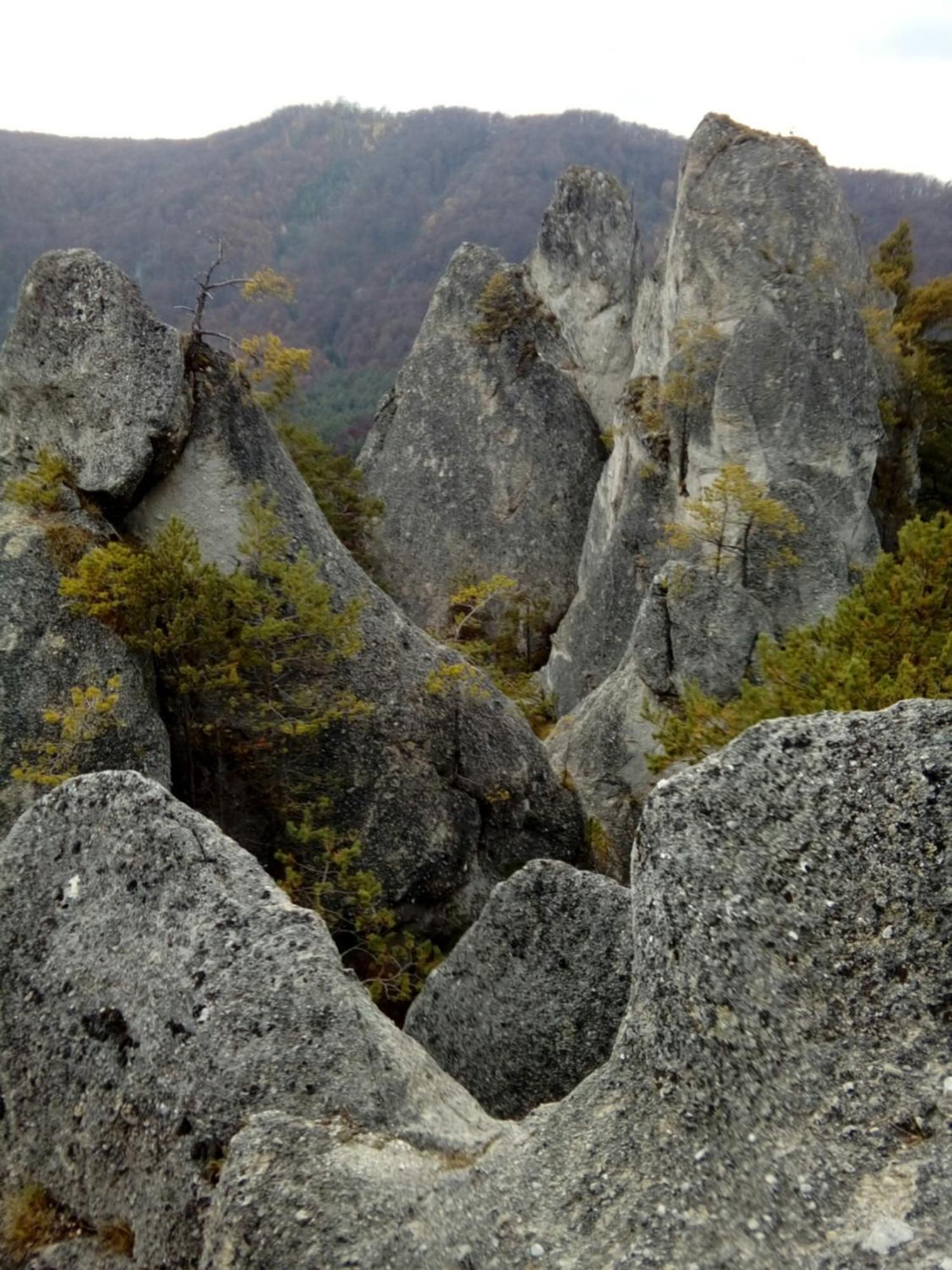 Castle Kastiel Kotesova Apartment ภายนอก รูปภาพ
